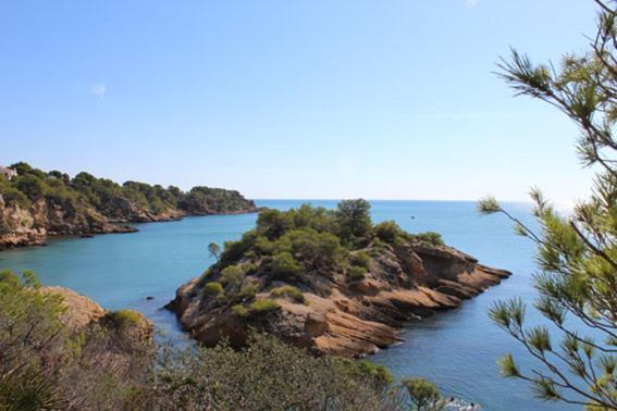 Apartment Origens Iii - Rustico Moderno